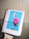 crafts